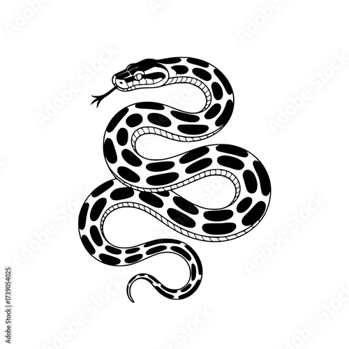Vector art of black and white snake