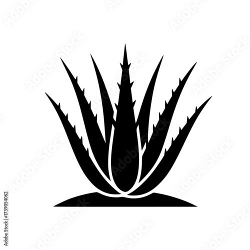 Vector art of aloe vera plant silhouette