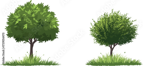 Two lush green trees with full foliage stand on grassy mounds against a white background