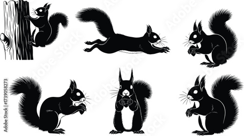 Squirrel silhouettes, wildlife illustration, animal behavior artwork, nut-eating mammal design, zoology study art, natural posture drawing, woodland animal concept