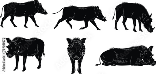Warthog silhouettes, African wildlife illustration, animal behavior artwork, tusked mammal design,