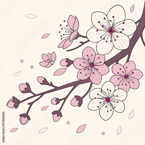 Delicate pink and white cherry blossoms with buds and falling petals on a brown branch against a soft cream background