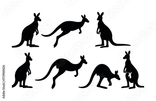 Kangaroo silhouettes collection: various poses and movements on white background