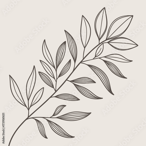 Minimalist line art drawing of a delicate branch with elongated leaves against a neutral beige background