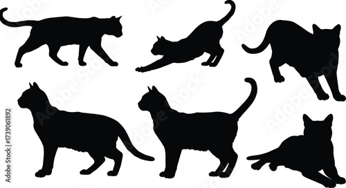Cat silhouettes, feline illustration, pet behavior artwork, domestic animal design, zoology study art,