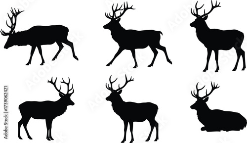 Deer silhouettes, wildlife illustration, animal behavior artwork, antler anatomy design, zoology