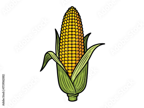 vector illustration of corn with a white background