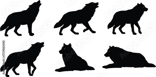 Wolf silhouettes, wildlife illustration, animal behavior artwork, predator design concept, zoology study art, natural posture drawing, wilderness animal artwork