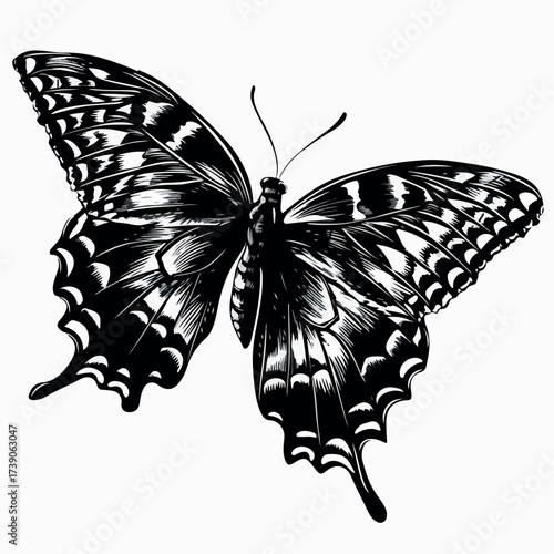 butterfly, illustration, design, beautiful, nature, floral, vector, spring, summer, decoration, insect, colorful, background, abstract, wing, fly, silhouette, flower, art, white, pattern, isolated, pr