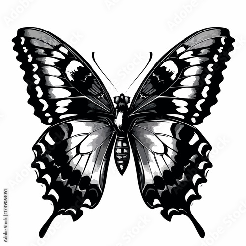 butterfly, illustration, design, beautiful, nature, floral, vector, spring, summer, decoration, insect, colorful, background, abstract, wing, fly, silhouette, flower, art, white, pattern, isolated, pr