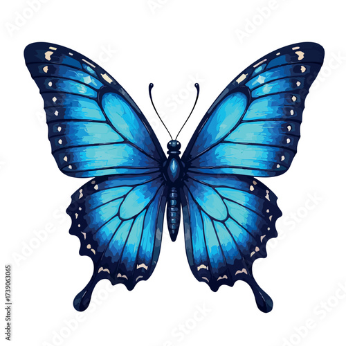 butterfly, illustration, design, beautiful, nature, floral, vector, spring, summer, decoration, insect, colorful, background, abstract, wing, fly, silhouette, flower, art, white, pattern, isolated, pr