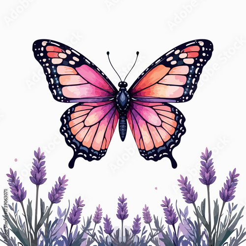 butterfly, illustration, design, beautiful, nature, floral, vector, spring, summer, decoration, insect, colorful, background, abstract, wing, fly, silhouette, flower, art, white, pattern, isolated, pr