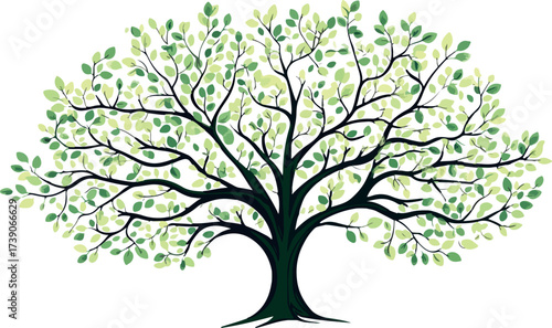 Stylized illustration of a large deciduous tree with a full canopy of green leaves