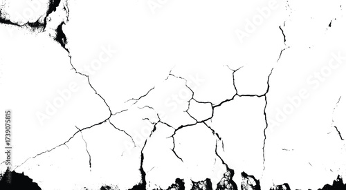 A textured background featuring a pattern of black cracks on a white surface, creating a striking contrast. Ideal for use in design and artistic projects. Vector