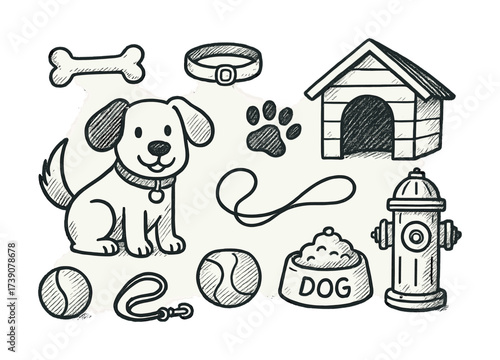 Vector Cartoon dog and accessories: house, bone, leash, ball, collar, paw print, bowl, fire hydrant