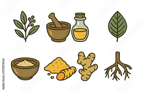 Herbal ingredients and tools: mortar, pestle, turmeric, ginger, leaves, roots, oil
