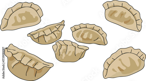 A collection of seven illustrated Asian dumplings scattered on a plain white background.