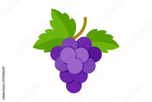 bunch of grapes