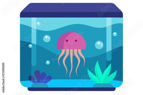 jellyfish in the water