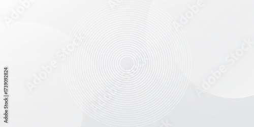 White geometric abstract background overlap layer on bright space with lines effect decoration. Modern graphic design element circles style concept for banner, modern vector arts