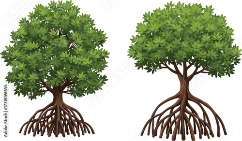 Mangrove tree illustration, coastal ecosystem art, green foliage, exposed roots, tropical nature, environmental conservation, stylized vector, biodiversity habitat, wetland forest, climate 