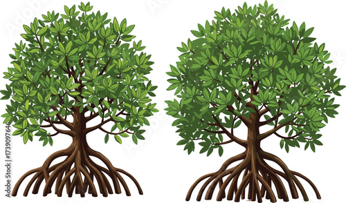 Mangrove tree illustration, coastal swamp vegetation, green canopy, arching roots, tropical wetland, biodiversity habitat, stylized vector, shoreline protection, environmental art, nature conservation