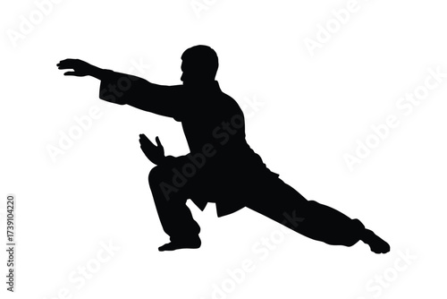 Black silhouette of a martial artist performing a dynamic pose warrior combat
