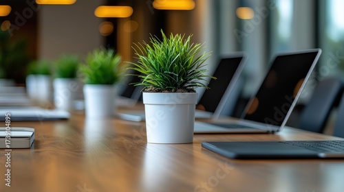 Wallpaper Mural Close-up small green potted plants and laptops on a wooden office conference table Torontodigital.ca