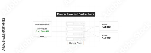 Reverse Proxy and Custom Ports
