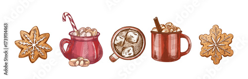 Hand drawn vintage sketch set of festive cocoa mugs with marshmallows and gingerbread cookies in color version
