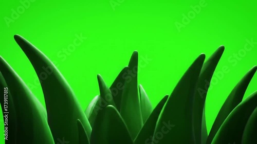 green leaves background