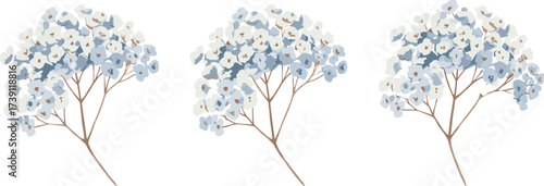 Baby’s breath gypsophila flowers illustration, delicate floral bouquet, blue and white blossoms, wedding decoration, minimal botanical design, romantic nature vector artwork