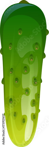 Cartoon raw cucumber vegetable, whole ripe garden veggie with pimples. Isolated vector crisp and refreshing veg, bursts with hydration. Its green skin encases a crunchy texture and mild flavor