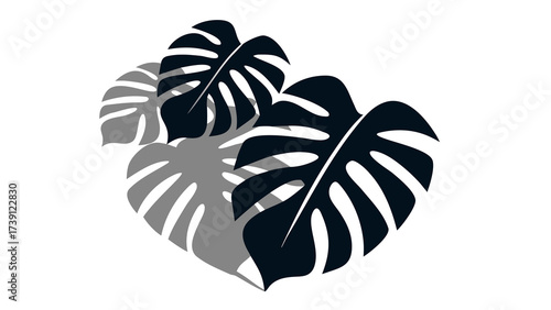 Arrangement of Monstera Leaves in Dark Blue and Gray Tones overlay sunmmer