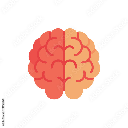 Illustration of a brain with two colors on transparent background