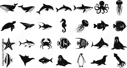 Collection of diverse marine animals, including whales, dolphins, sharks, octopus, jellyfish, turtles, and various fish