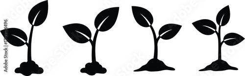 Set of plant sprouts, depicting growth stages from seed to small plant with leaves in simple black silhouette