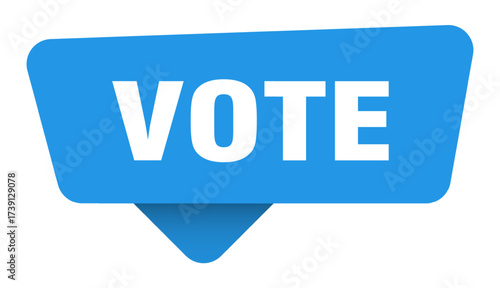 vote sticker. vote blue sign isolated on transpatent background