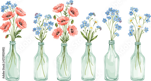 Wildflower bouquet in glass bottles, vintage floral decoration, poppies and daisies with blue forget me not flowers, rustic botanical vase illustration art