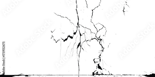 crack ground for abstract background on white background. White black grey wall, floor with cracks, texture background. 