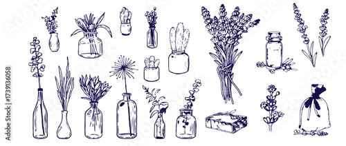 Set of hand drawn herbs and spices design elements. Vector illustration in sketch style