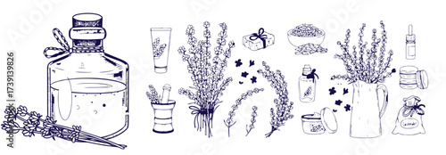 Set of hand drawn herbs and spices design elements. Vector illustration in sketch style