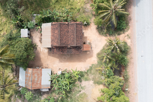 Rural House with Palm Trees Aerial View