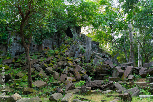 Ancient Stone Ruins in Overgrown Jungle