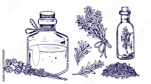 Set of hand drawn herbs and spices design elements. Vector illustration in sketch style