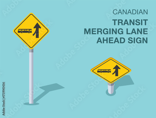 Traffic regulation rules. Isolated canadian "transit merging lane ahead" road sign. Front and top view. Flat vector illustration template.