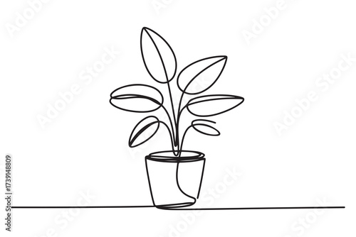 Continuous single line drawing of house plant in a pot. one line Icon drawing with white background