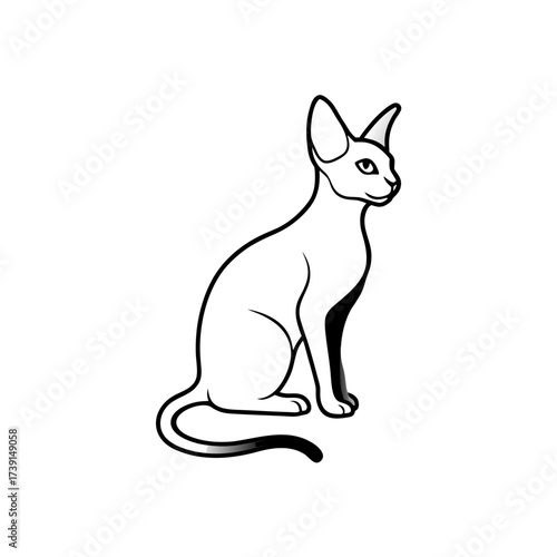 Illustration of a sitting sphynx cat pet on transparent background silhouette