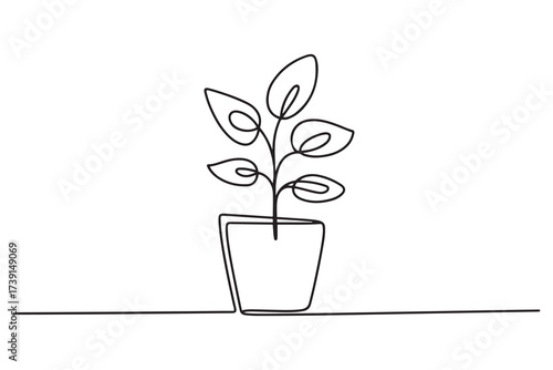 Continuous single line drawing of house plant in a pot. one line Icon drawing with white background