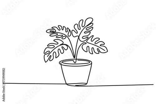 Continuous single line drawing of house plant in a pot. one line Icon drawing with white background